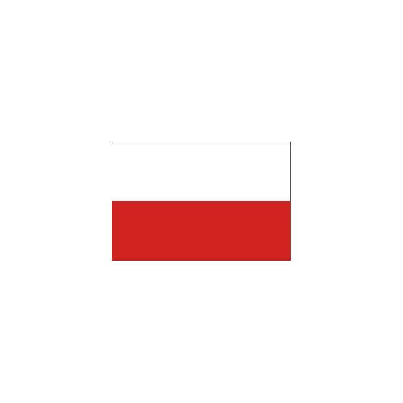 JOURNEE DU DRAPEAU – La Pologne hisse ses couleurs {BEST OF}