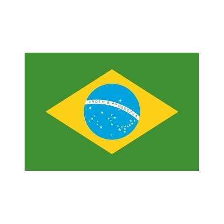 Drapeaux Brésil