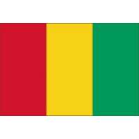 Drapeaux Guinée