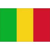 Drapeau du Mali, Drapeaux de pays