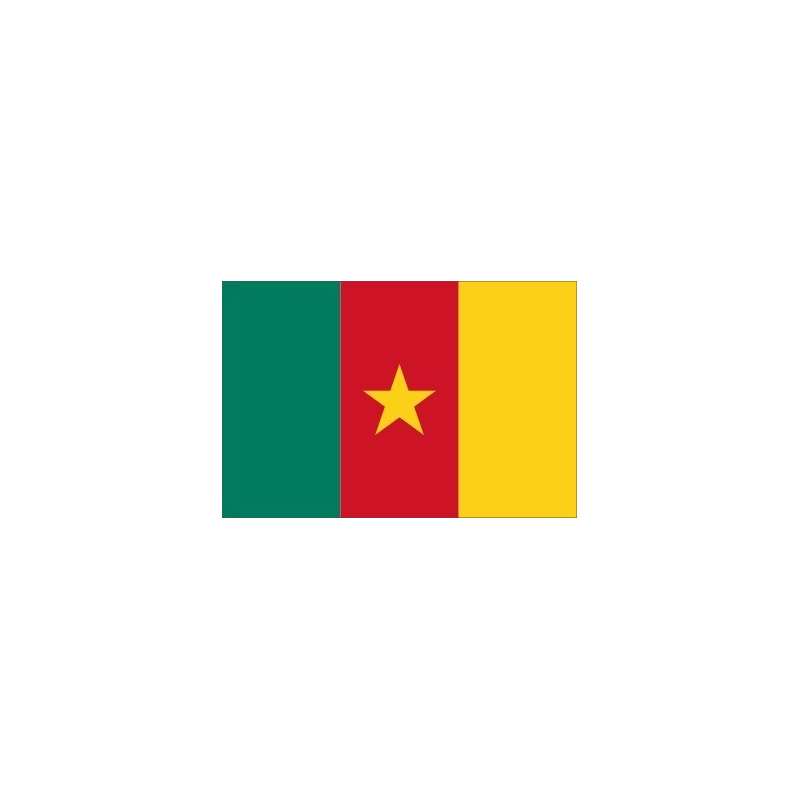 Drapeau du Cameroun ⚑ Histoire et vente du pavillon camerounais