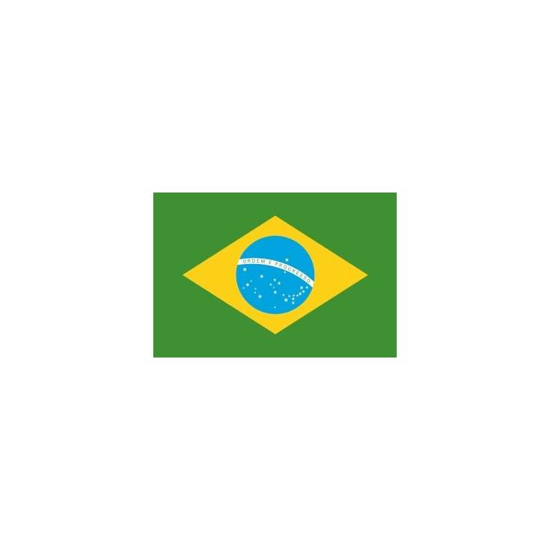 drapeau-bresilien