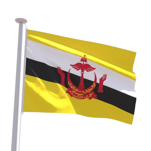 Drapeau Brunei