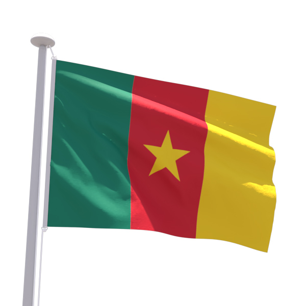 Drapeau Cameroun