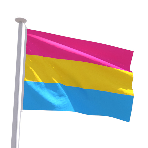 Drapeau LGBT Pansexuel