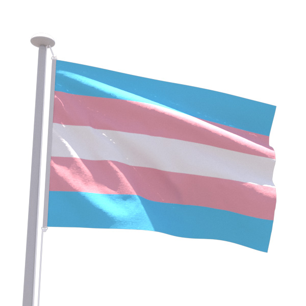 Drapeau LGBT Transgenre