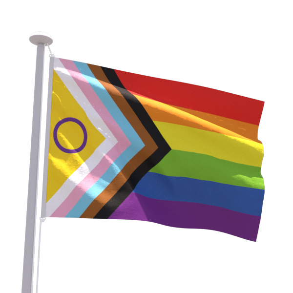Drapeau LGBTQ+ 2021