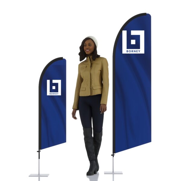 Voile + mâts fibre de carbone